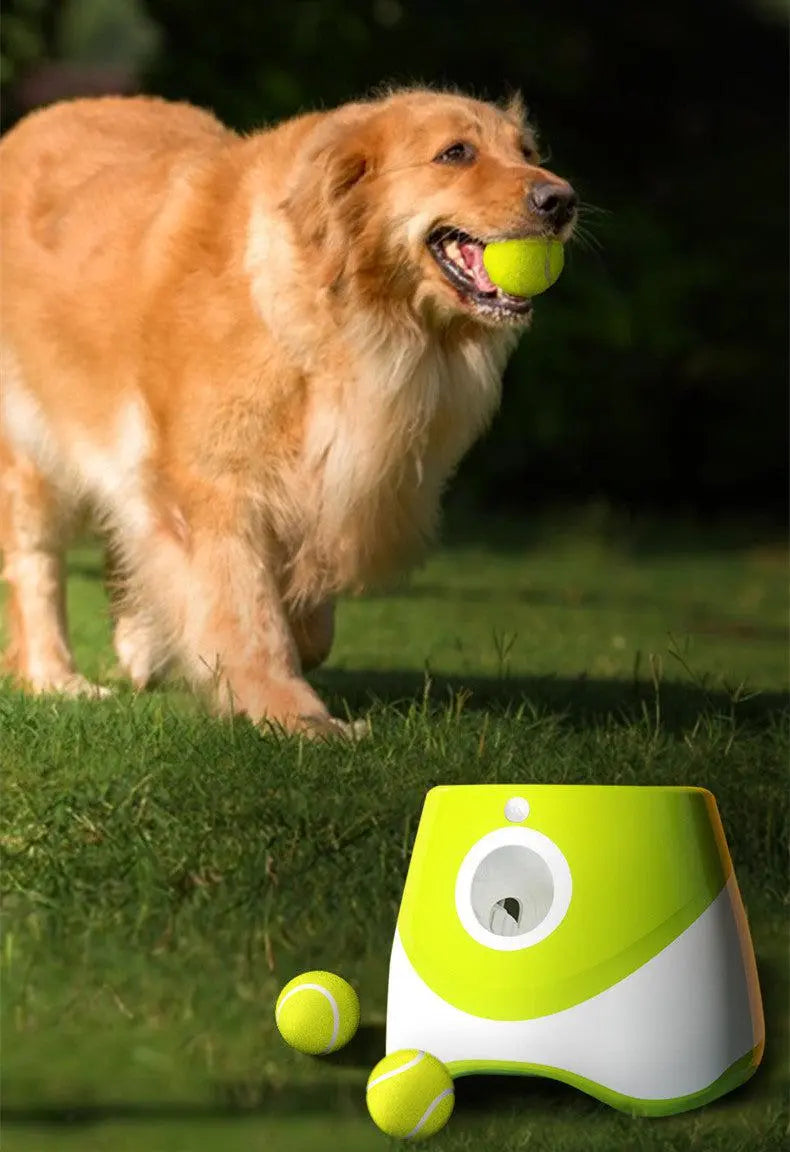 automatic tennis ball launcher